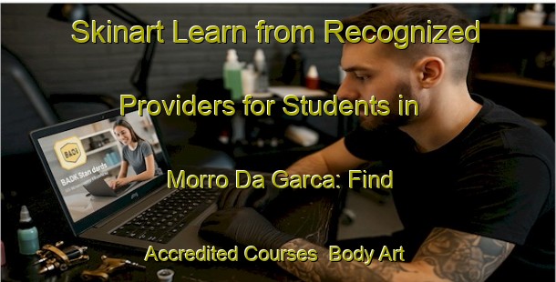 Skinart Learn from Recognized Providers for Students in Morro Da Garca: Find Accredited Courses | Body Art Qualification Authority | BAQA-Brazil