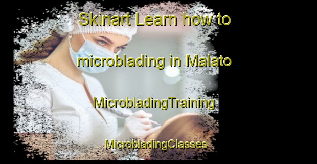 Skinart Learn how to microblading in Malato | MicrobladingTraining | MicrobladingClasses | SkinartTraining-Brazil
