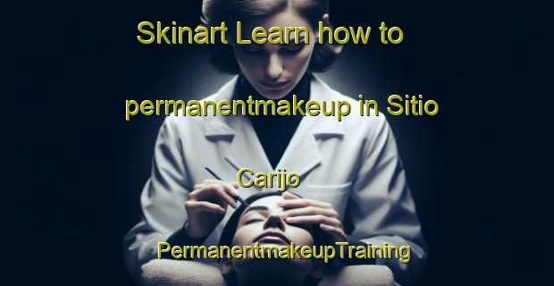 Skinart Learn how to permanentmakeup in Sitio Carijo | PermanentmakeupTraining | PermanentmakeupClasses | SkinartTraining-Brazil