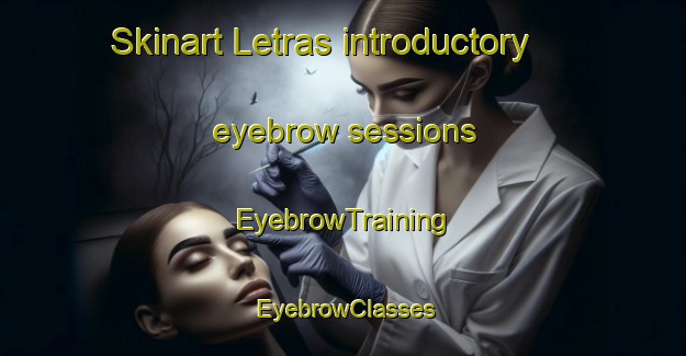 Skinart Letras introductory eyebrow sessions | EyebrowTraining | EyebrowClasses | SkinartTraining-Brazil