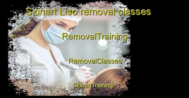 Skinart Liso removal classes | RemovalTraining | RemovalClasses | SkinartTraining-Brazil