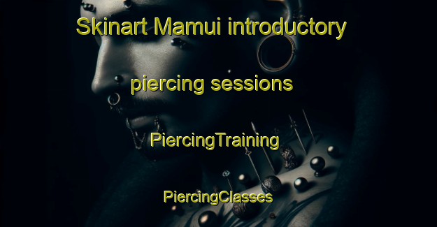 Skinart Mamui introductory piercing sessions | #PiercingTraining #PiercingClasses #SkinartTraining-Brazil