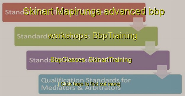 Skinart Mapirunga advanced bbp workshops | BbpTraining | BbpClasses | SkinartTraining-Brazil
