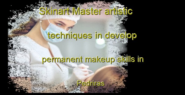 Skinart Master artistic techniques in develop permanent makeup skills in Pedriras | PermanentmakeupTraining | PermanentmakeupClasses | SkinartTraining-Brazil