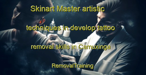Skinart Master artistic techniques in develop tattoo removal skills in Camuxinga | RemovalTraining | RemovalClasses | SkinartTraining-Brazil