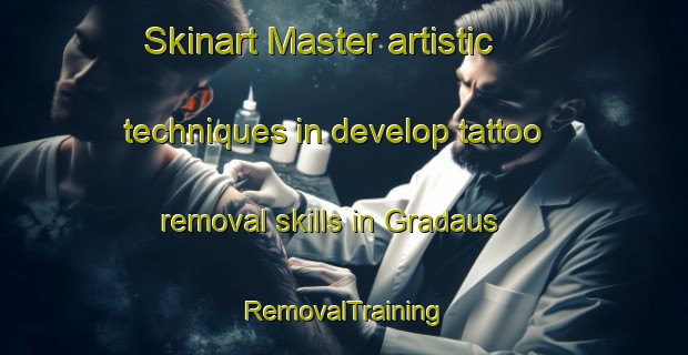Skinart Master artistic techniques in develop tattoo removal skills in Gradaus | RemovalTraining | RemovalClasses | SkinartTraining-Brazil