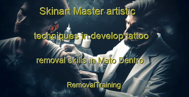 Skinart Master artistic techniques in develop tattoo removal skills in Mato Dentro | RemovalTraining | RemovalClasses | SkinartTraining-Brazil