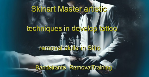 Skinart Master artistic techniques in develop tattoo removal skills in Sitio Bandeirante | RemovalTraining | RemovalClasses | SkinartTraining-Brazil