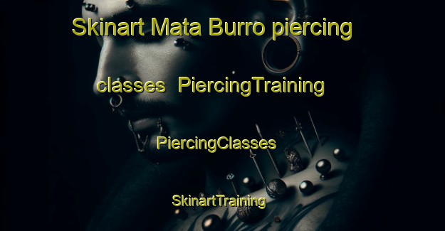 Skinart Mata Burro piercing classes | PiercingTraining | PiercingClasses | SkinartTraining-Brazil
