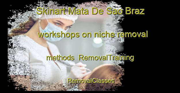 Skinart Mata De Sao Braz workshops on niche removal methods | RemovalTraining | RemovalClasses | SkinartTraining-Brazil