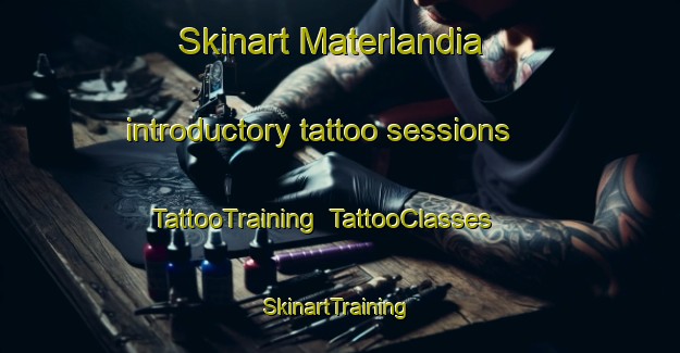 Skinart Materlandia introductory tattoo sessions | TattooTraining | TattooClasses | SkinartTraining-Brazil