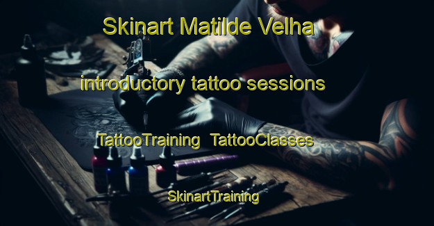 Skinart Matilde Velha introductory tattoo sessions | TattooTraining | TattooClasses | SkinartTraining-Brazil