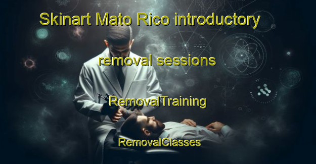Skinart Mato Rico introductory removal sessions | RemovalTraining | RemovalClasses | SkinartTraining-Brazil
