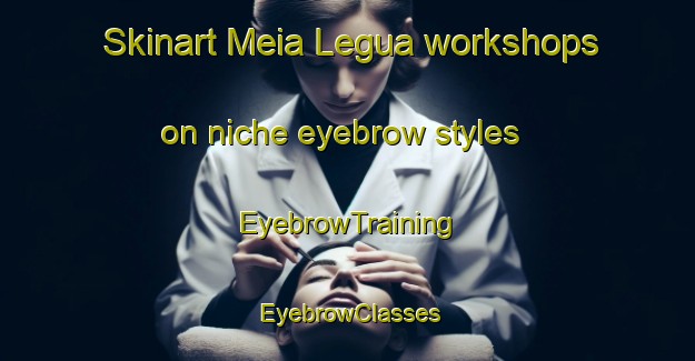 Skinart Meia Legua workshops on niche eyebrow styles | EyebrowTraining | EyebrowClasses | SkinartTraining-Brazil