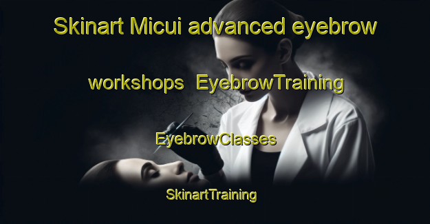 Skinart Micui advanced eyebrow workshops | EyebrowTraining | EyebrowClasses | SkinartTraining-Brazil