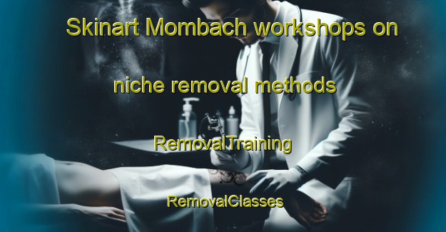 Skinart Mombach workshops on niche removal methods | RemovalTraining | RemovalClasses | SkinartTraining-Brazil