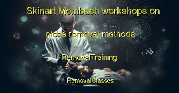 Skinart Mombach workshops on niche removal methods | RemovalTraining | RemovalClasses | SkinartTraining-Brazil