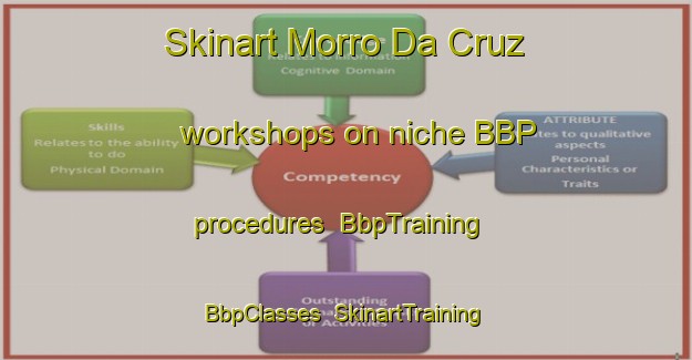 Skinart Morro Da Cruz workshops on niche BBP procedures | BbpTraining | BbpClasses | SkinartTraining-Brazil