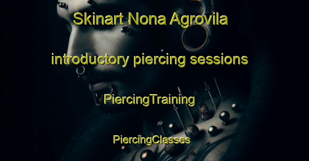 Skinart Nona Agrovila introductory piercing sessions | PiercingTraining | PiercingClasses | SkinartTraining-Brazil