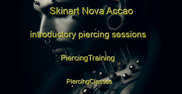 Skinart Nova Accao introductory piercing sessions | PiercingTraining | PiercingClasses | SkinartTraining-Brazil