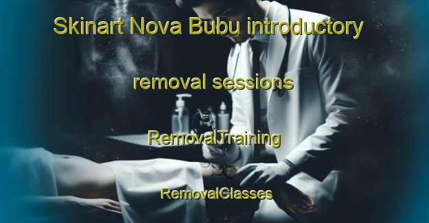 Skinart Nova Bubu introductory removal sessions | RemovalTraining | RemovalClasses | SkinartTraining-Brazil
