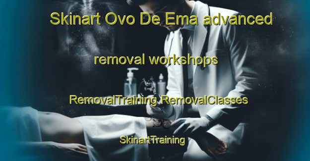 Skinart Ovo De Ema advanced removal workshops | #RemovalTraining #RemovalClasses #SkinartTraining-Brazil