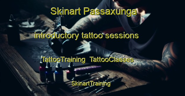 Skinart Passaxunga introductory tattoo sessions | TattooTraining | TattooClasses | SkinartTraining-Brazil