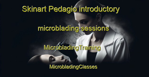 Skinart Pedagio introductory microblading sessions | MicrobladingTraining | MicrobladingClasses | SkinartTraining-Brazil