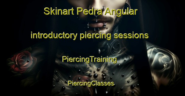 Skinart Pedra Angular introductory piercing sessions | PiercingTraining | PiercingClasses | SkinartTraining-Brazil