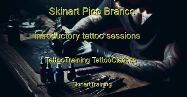 Skinart Pico Branco introductory tattoo sessions | #TattooTraining #TattooClasses #SkinartTraining-Brazil