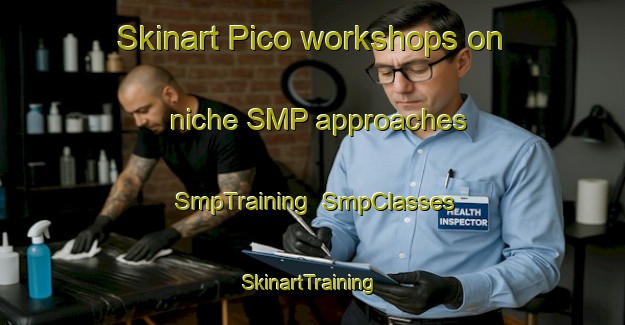 Skinart Pico workshops on niche SMP approaches | SmpTraining | SmpClasses | SkinartTraining-Brazil