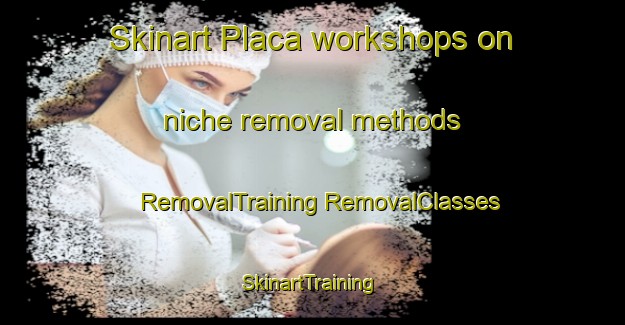 Skinart Placa workshops on niche removal methods | #RemovalTraining #RemovalClasses #SkinartTraining-Brazil