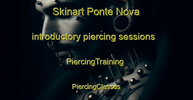 Skinart Ponte Nova introductory piercing sessions | #PiercingTraining #PiercingClasses #SkinartTraining-Brazil