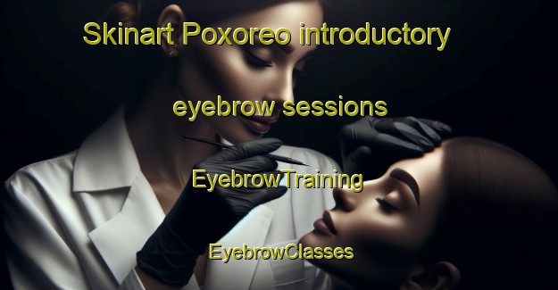 Skinart Poxoreo introductory eyebrow sessions | EyebrowTraining | EyebrowClasses | SkinartTraining-Brazil