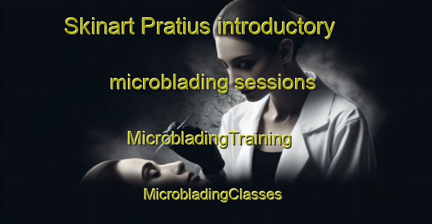 Skinart Pratius introductory microblading sessions | MicrobladingTraining | MicrobladingClasses | SkinartTraining-Brazil