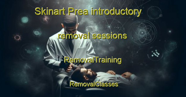 Skinart Prea introductory removal sessions | RemovalTraining | RemovalClasses | SkinartTraining-Brazil