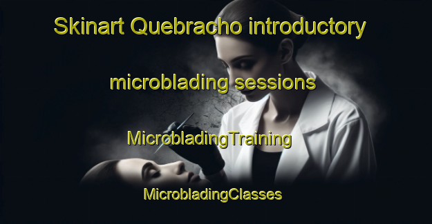 Skinart Quebracho introductory microblading sessions | MicrobladingTraining | MicrobladingClasses | SkinartTraining-Brazil