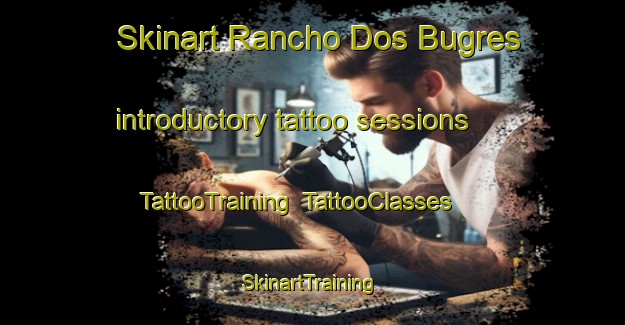 Skinart Rancho Dos Bugres introductory tattoo sessions | TattooTraining | TattooClasses | SkinartTraining-Brazil