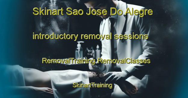 Skinart Sao Jose Do Alegre introductory removal sessions | #RemovalTraining #RemovalClasses #SkinartTraining-Brazil