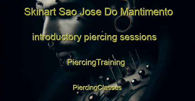 Skinart Sao Jose Do Mantimento introductory piercing sessions | #PiercingTraining #PiercingClasses #SkinartTraining-Brazil