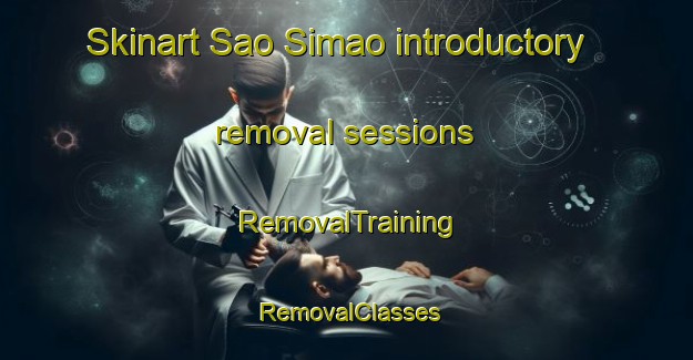 Skinart Sao Simao introductory removal sessions | RemovalTraining | RemovalClasses | SkinartTraining-Brazil