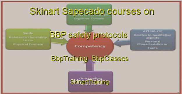 Skinart Sapecado courses on BBP safety protocols | BbpTraining | BbpClasses | SkinartTraining-Brazil
