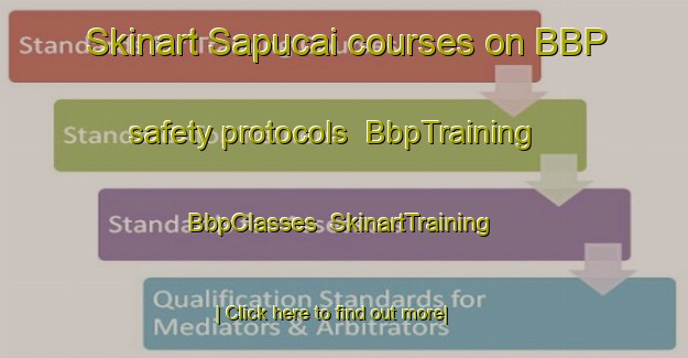 Skinart Sapucai courses on BBP safety protocols | BbpTraining | BbpClasses | SkinartTraining-Brazil