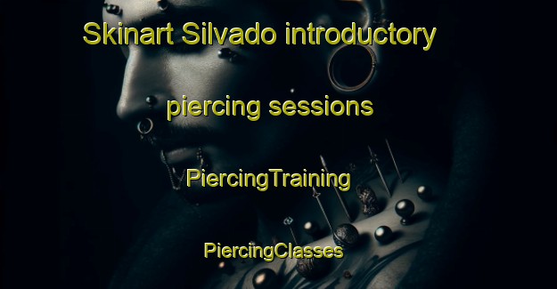 Skinart Silvado introductory piercing sessions | PiercingTraining | PiercingClasses | SkinartTraining-Brazil