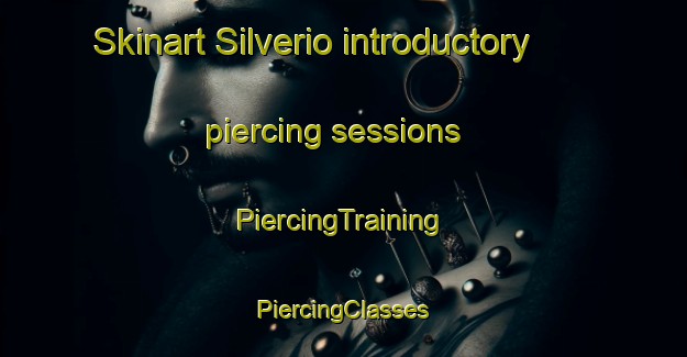 Skinart Silverio introductory piercing sessions | #PiercingTraining #PiercingClasses #SkinartTraining-Brazil