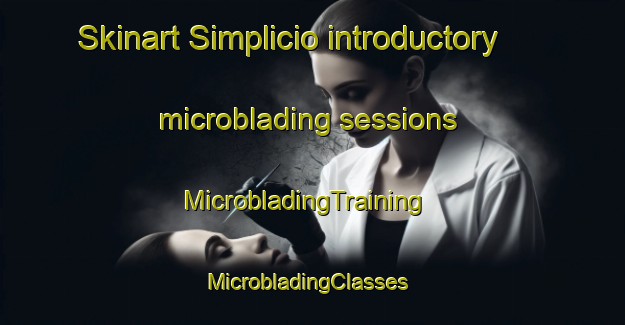 Skinart Simplicio introductory microblading sessions | MicrobladingTraining | MicrobladingClasses | SkinartTraining-Brazil