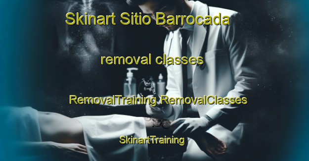 Skinart Sitio Barrocada removal classes | #RemovalTraining #RemovalClasses #SkinartTraining-Brazil