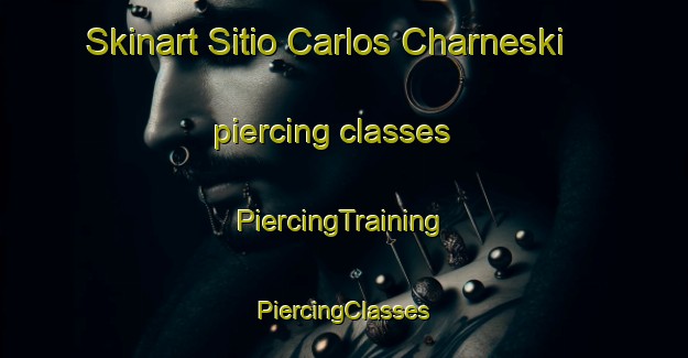 Skinart Sitio Carlos Charneski piercing classes | #PiercingTraining #PiercingClasses #SkinartTraining-Brazil