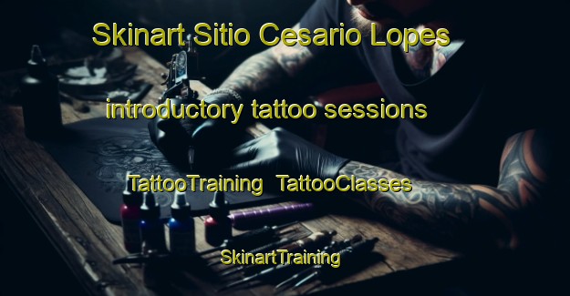 Skinart Sitio Cesario Lopes introductory tattoo sessions | TattooTraining | TattooClasses | SkinartTraining-Brazil