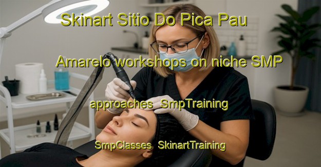 Skinart Sitio Do Pica Pau Amarelo workshops on niche SMP approaches | SmpTraining | SmpClasses | SkinartTraining-Brazil